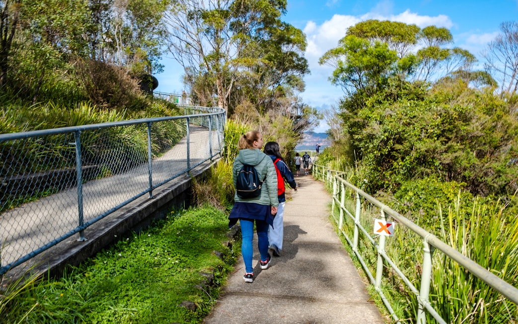 Walking trail with hikers leading to lookout in Blue Mountains.
