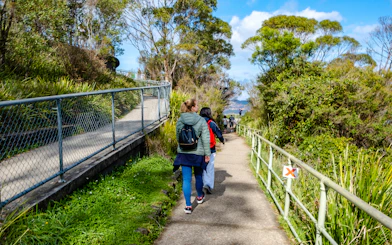 Walking trail with hikers leading to lookout in Blue Mountains.