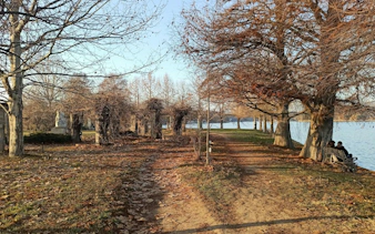 Pathway along a lake with trees and a couple sitting on a bench in Bucharest.