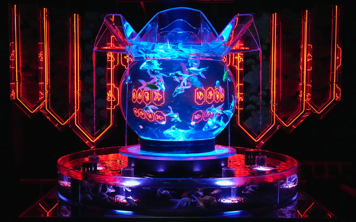 Illuminated fish bowl display at Art Aquarium Ginza with vibrant lighting.