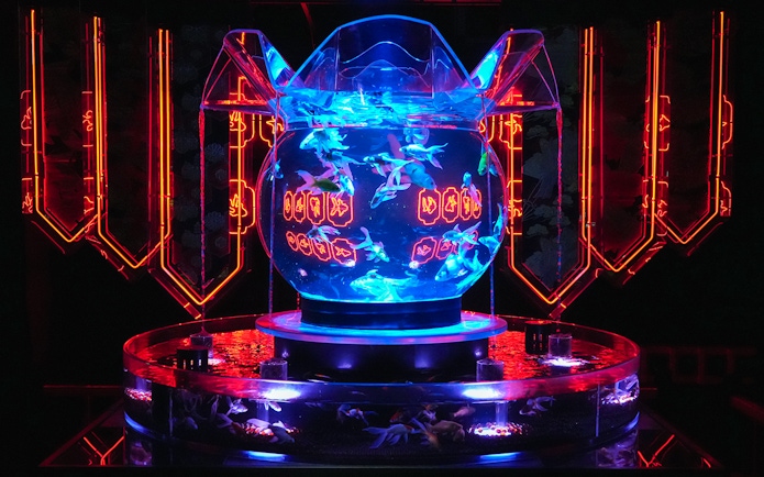 Illuminated fish bowl display at Art Aquarium Ginza with vibrant lighting.