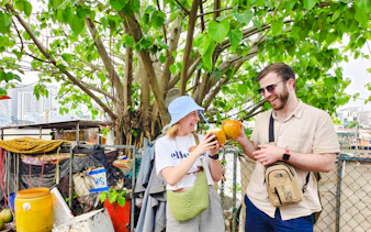 Tourists enjoying coconuts under a tree in Ho Chi Minh City.