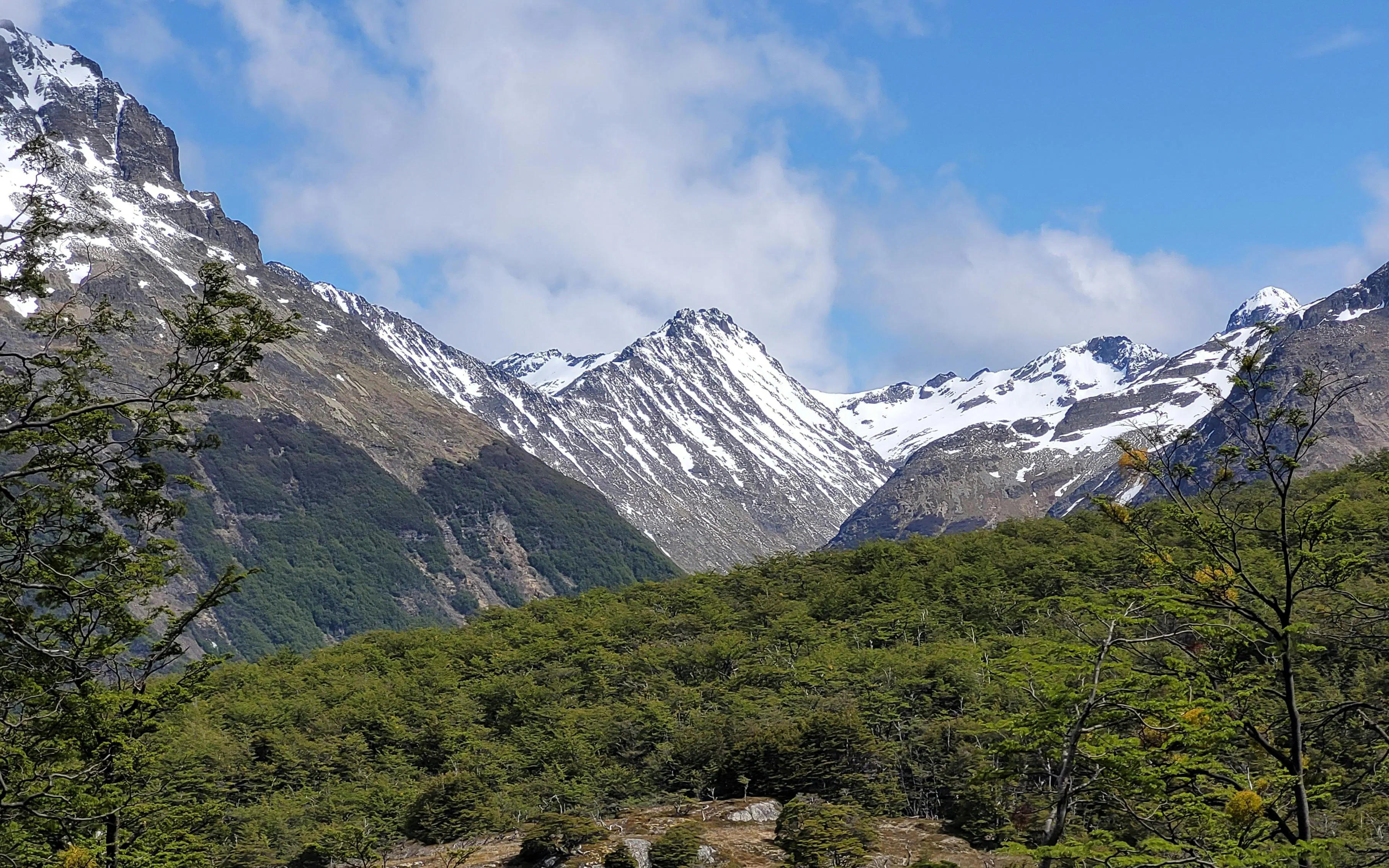 Vinciguerra Glacier with snow-capped peaks and lush green forest in Ushuaia, Argentina.