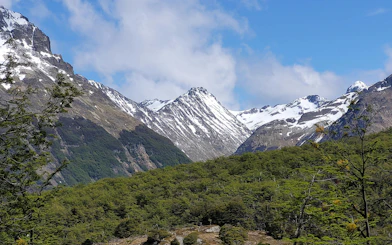 Vinciguerra Glacier with snow-capped peaks and lush green forest in Ushuaia, Argentina.