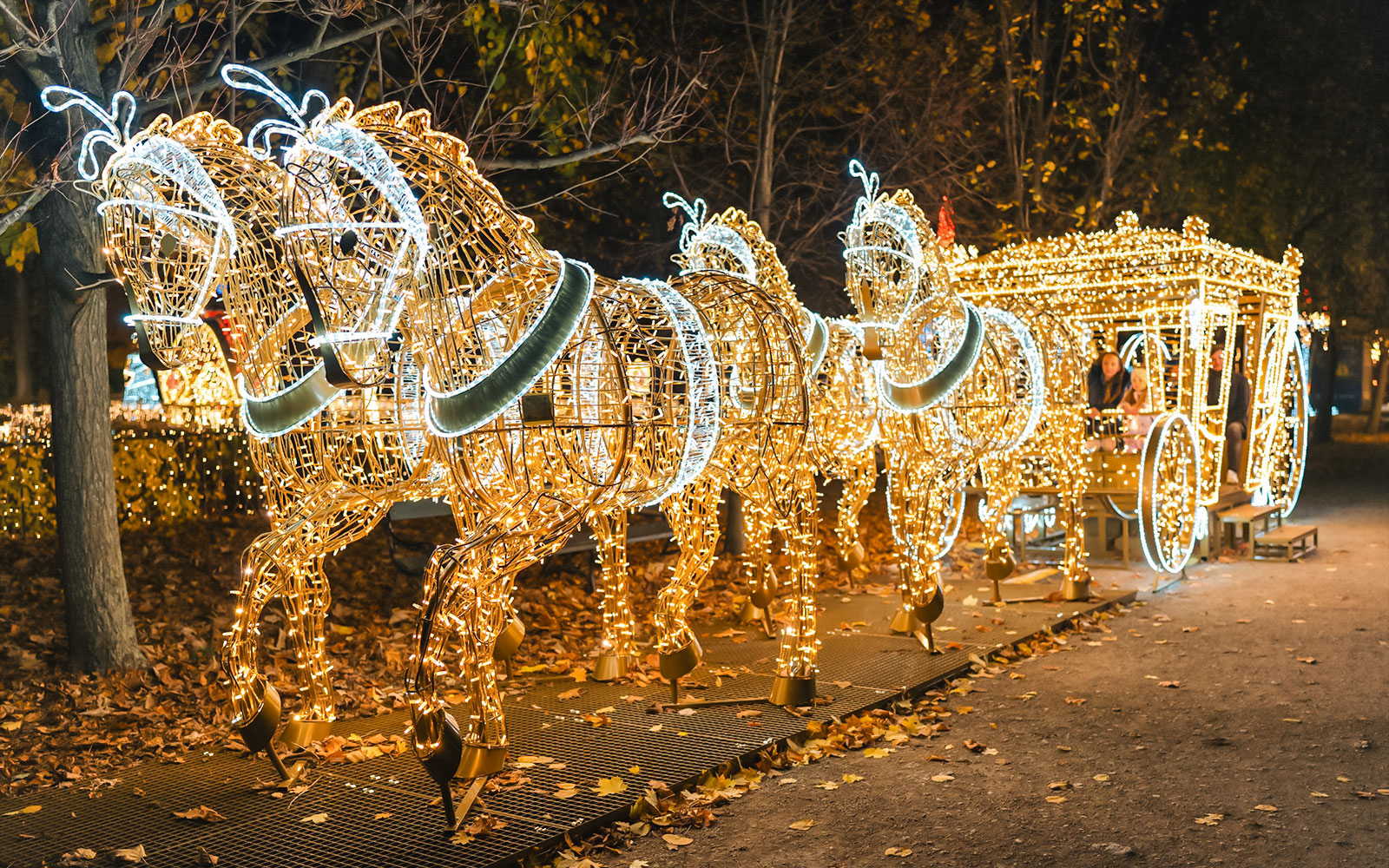 Vienna Christmas light display featuring illuminated horse-drawn carriage.