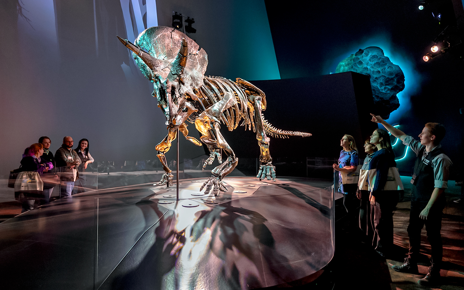 Triceratops skeleton exhibit with visitors at Melbourne Museum.