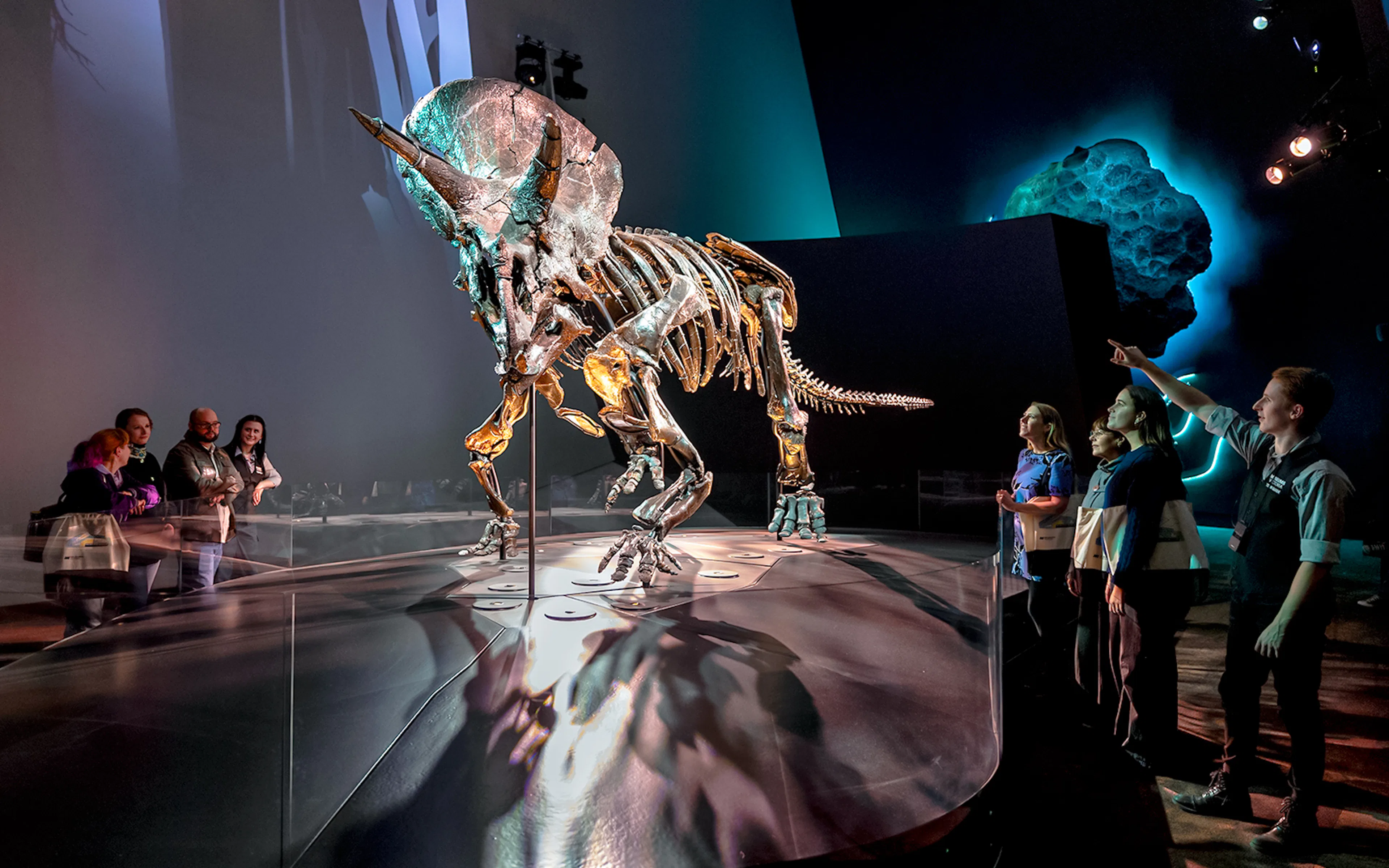 Triceratops skeleton exhibit with visitors at Melbourne Museum.
