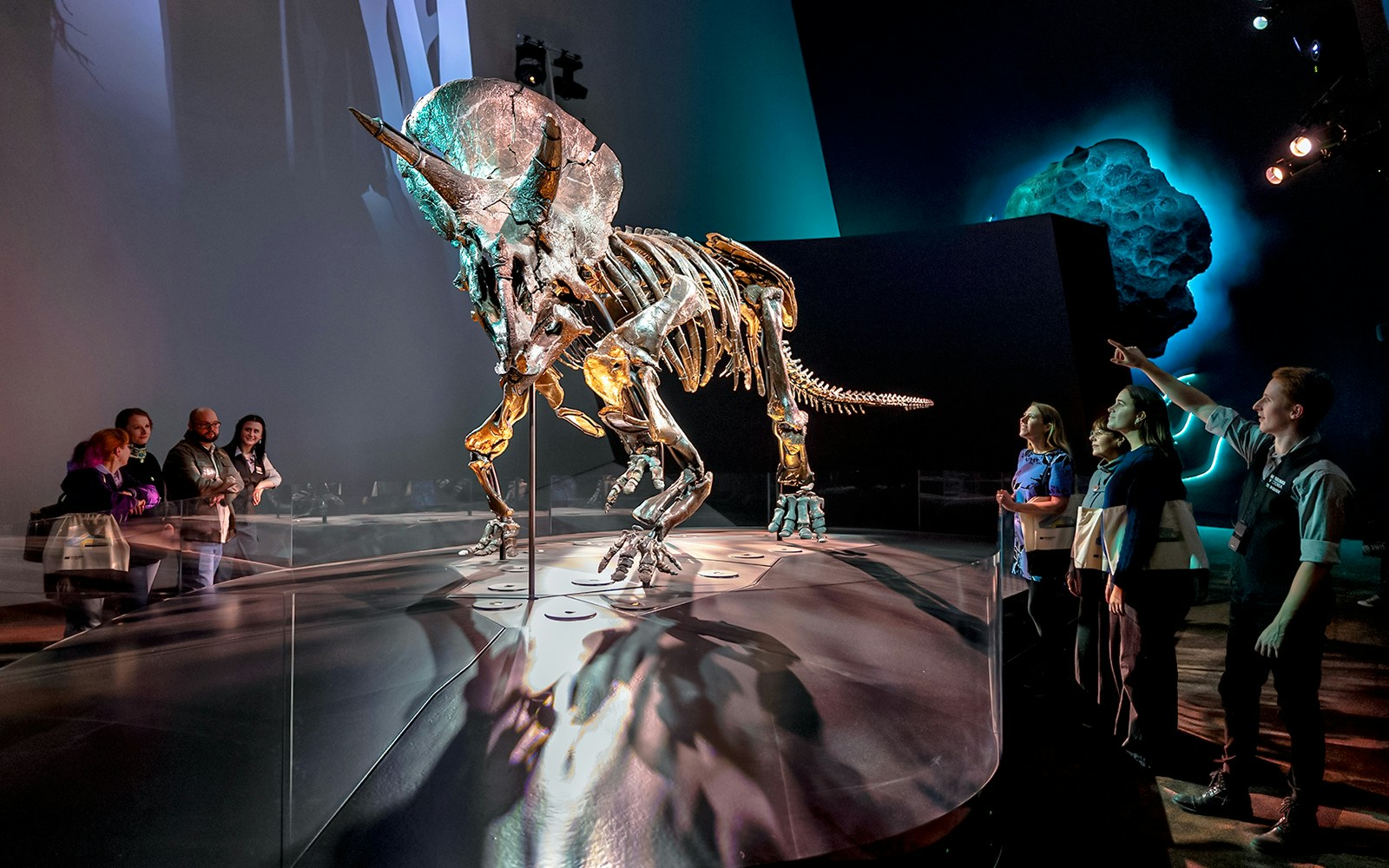 Triceratops skeleton exhibit with visitors at Melbourne Museum.
