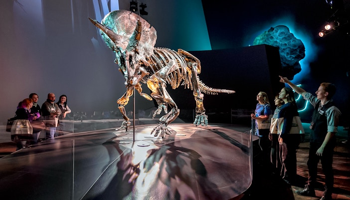 Triceratops skeleton exhibit with visitors at Melbourne Museum.