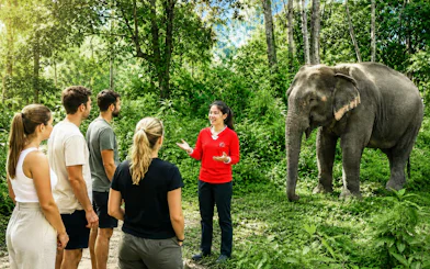 Elephant keeper discussing behavior and welfare with tourists at Hill Tribe Elephant Village.