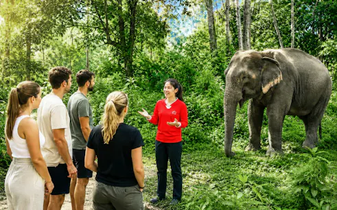 Elephant keeper discussing behavior and welfare with tourists at Hill Tribe Elephant Village.