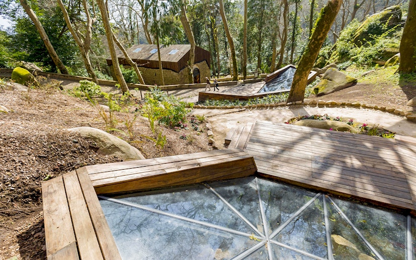 Moorish Castle necropolis with Christian tombstones in Sintra, Portugal, surrounded by trees.