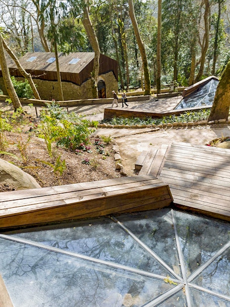Moorish Castle necropolis with Christian tombstones in Sintra, Portugal, surrounded by trees.