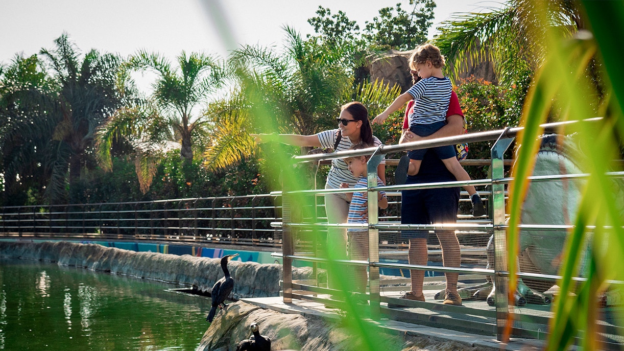 timings of Oceanografic Valencia