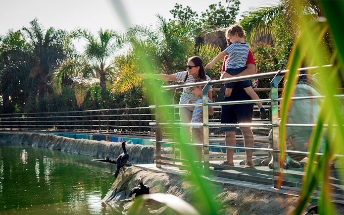 Family observing birds at Oceanogràfic Valencia.