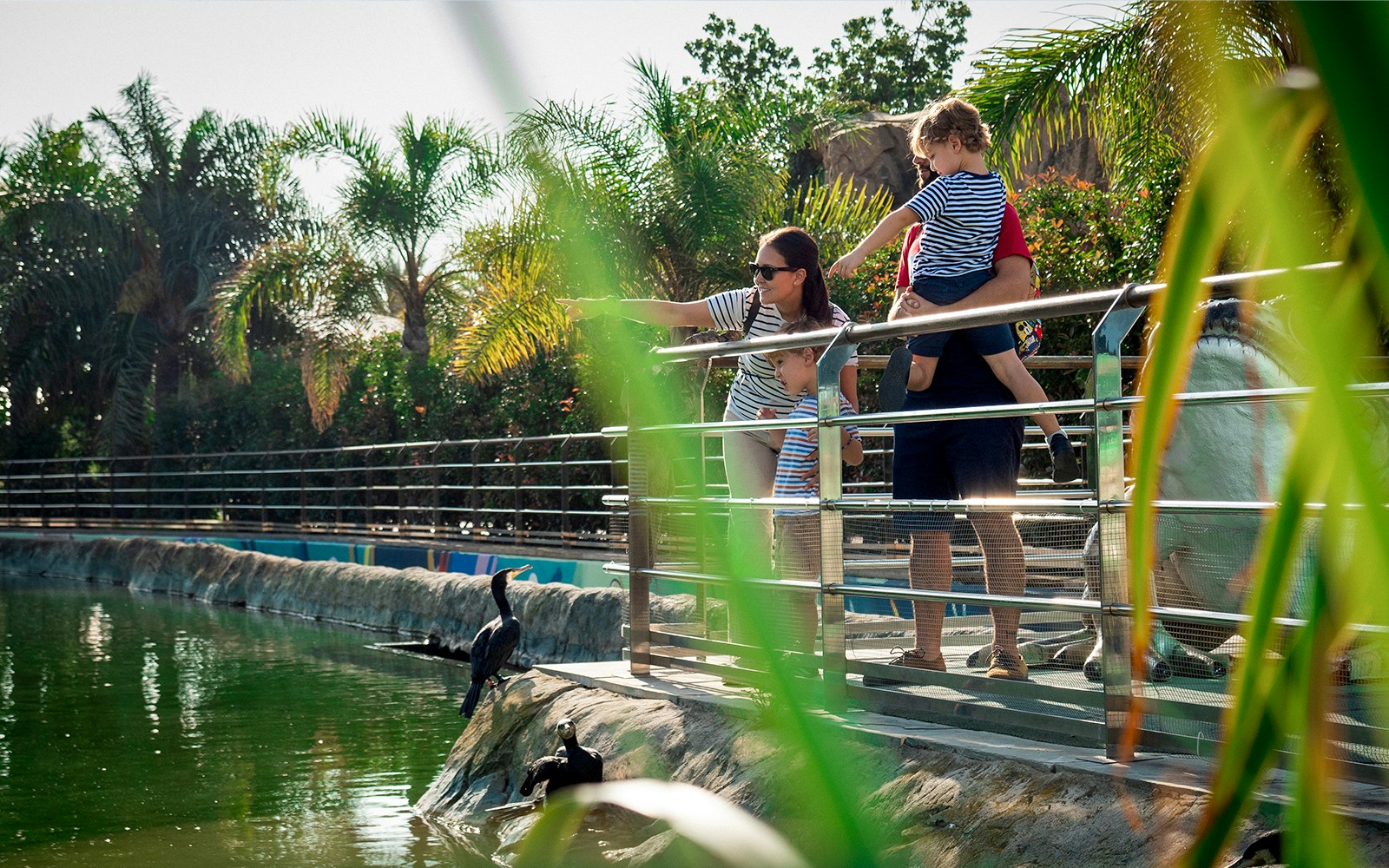 Family exploring Oceanogràfic Valencia aquarium exhibits.