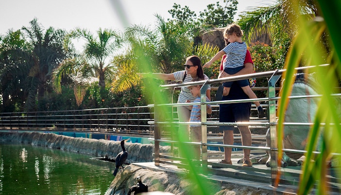 Family exploring Oceanogràfic Valencia aquarium exhibits.