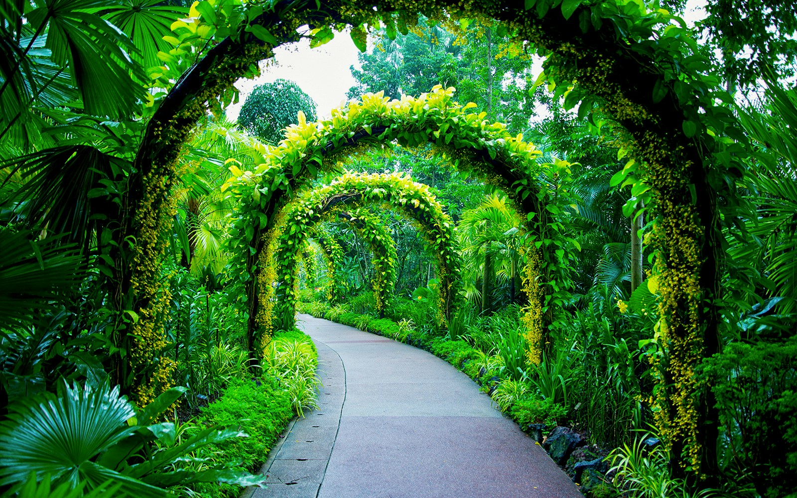 National Orchid Garden in Singapore
