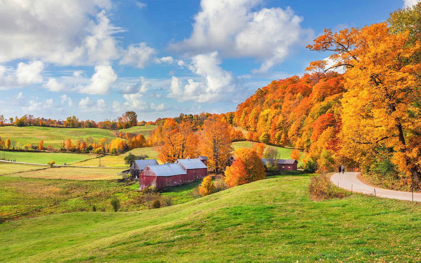 Vermont Countryside farm