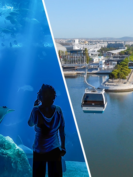 Lisbon Oceanarium marine life and Telecabine cable cars over Tagus River.