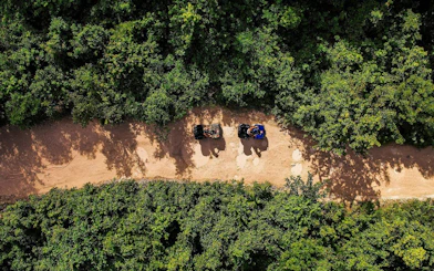 3 Hidden Cenotes and Puerto Morelos Reef Guided Snorkeling Tour
