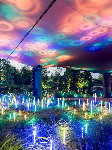 Colorful light installation at Musee du Quai Branly, Paris, illuminating garden area.