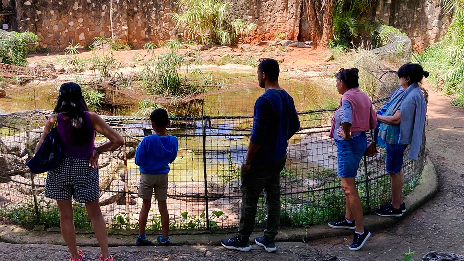 Visitors observing crocodiles at Mamba Village Crocodile Farm, Nairobi.