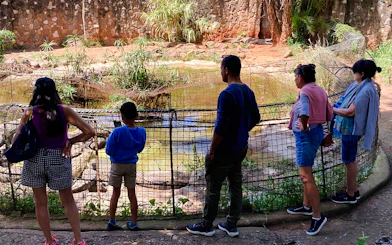 Visitors observing crocodiles at Mamba Village Crocodile Farm, Nairobi.
