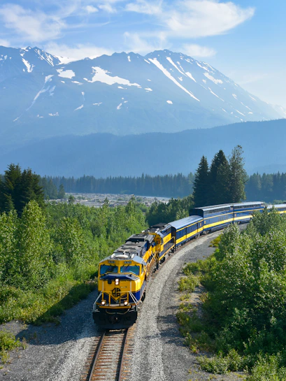 Alaska Railroad train traveling through lush forest with snow-capped mountains in the background.