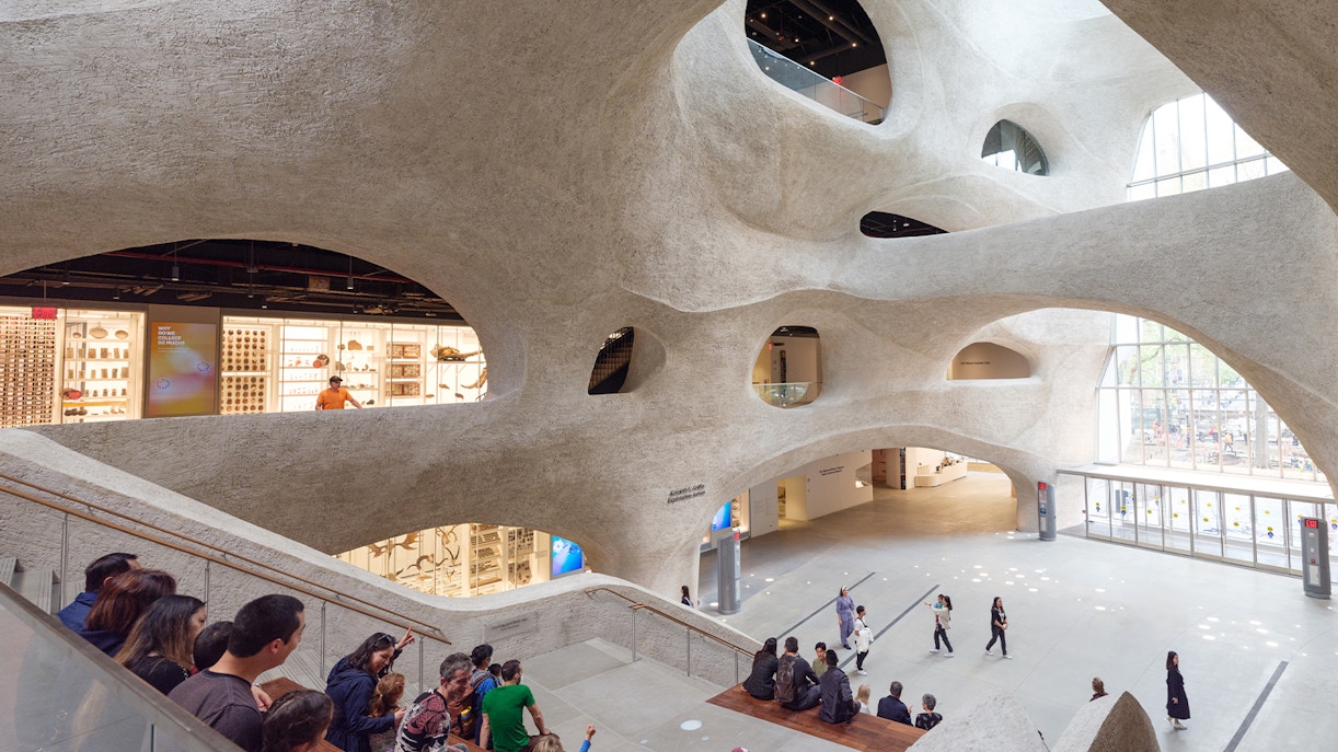 American Museum of Natural History dinosaur skeleton exhibit, New York City.