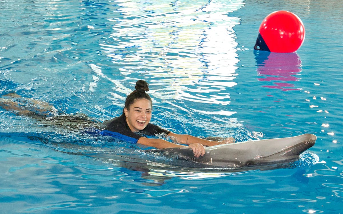 biglietti per il delfinario di dubai: interagisci con i delfini-4 biglietti per il delfinario di dubai: interagisci con i delfini-4