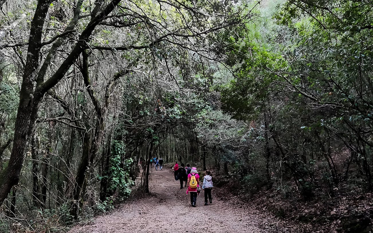 Hikers walking through a forested path on the way to Vagoni Path and San Giovanni Caves.