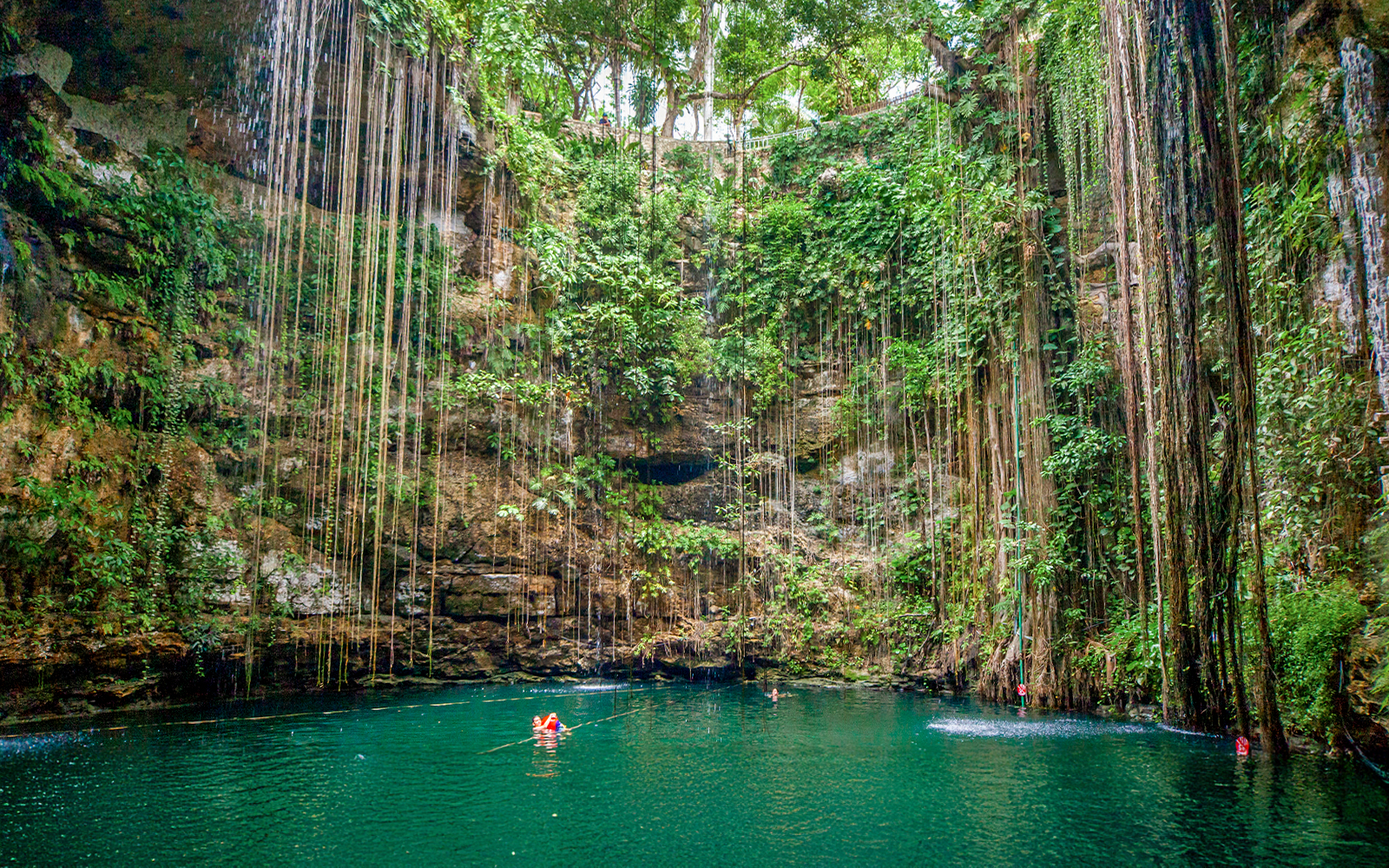 Swimmers in Cenote Chichen Itza surrounded by lush vegetation, Yucatan, Mexico.