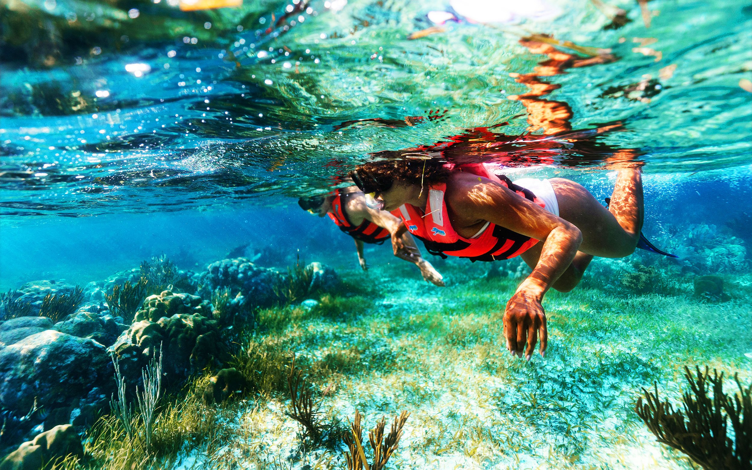 Visitors snorkeling in the Marine National Park, Puerto Morelos, exploring the Great Maya Reef.