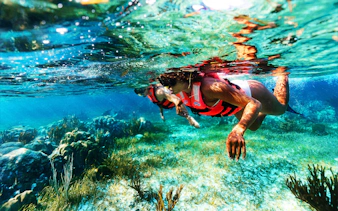 Visitors snorkeling in the Marine National Park, Puerto Morelos, exploring the Great Maya Reef.