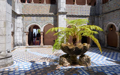 Cloisters with ornate arches and a central fern in a shell-shaped planter.