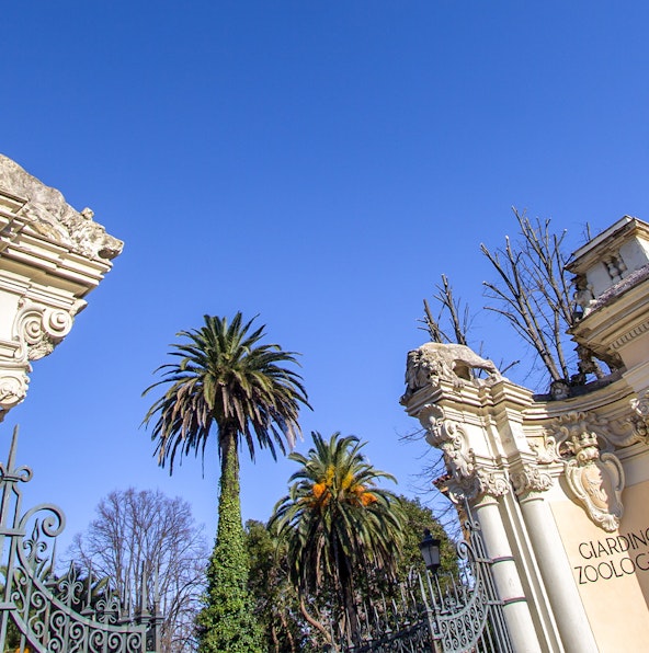 Go on a wildlife adventure at the Bioparco Rome Zoo