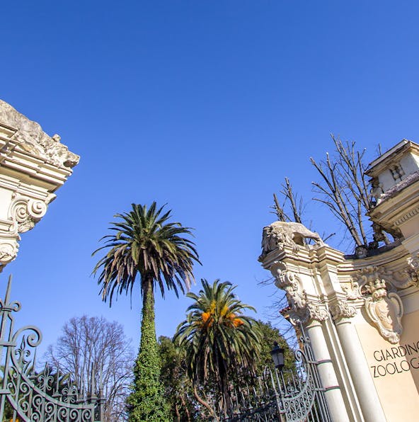 Go on a wildlife adventure at the Bioparco Rome Zoo