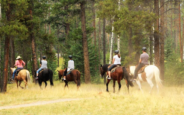 Group horse riding through forest in Antalya.