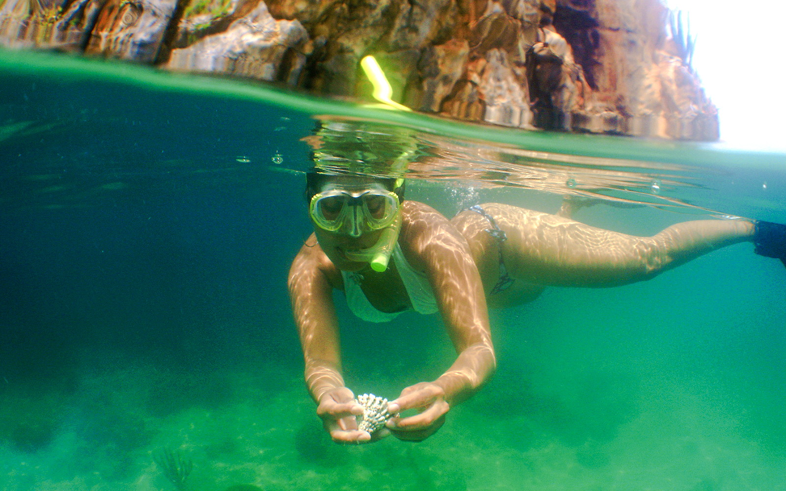 Snorkeler exploring underwater near rocky coastline, holding coral.