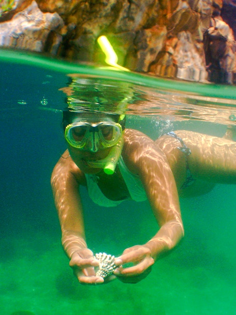 Snorkeler exploring underwater near rocky coastline, holding coral.
