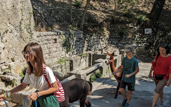 Visitors walking alpacas at Madonna della Corona Sanctuary on a full-day tour from Verona.