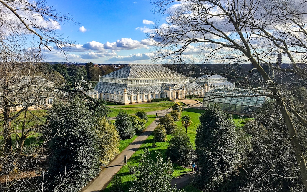 Kew Gardens glasshouse surrounded by trees and pathways, London.
