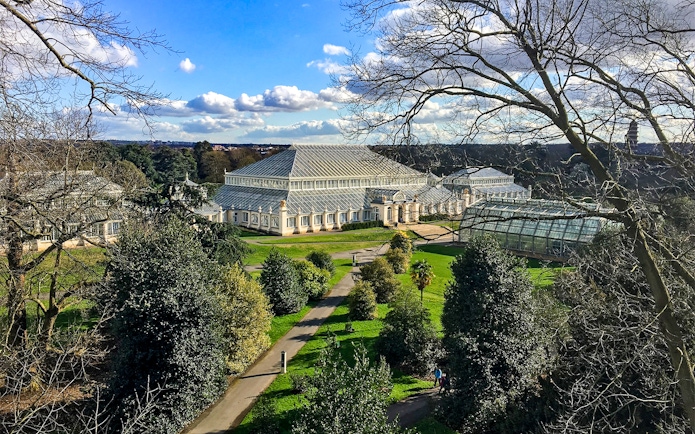 Kew Gardens glasshouse surrounded by trees and pathways, London.