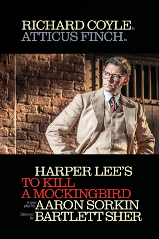 To Kill A Mockingbird product image