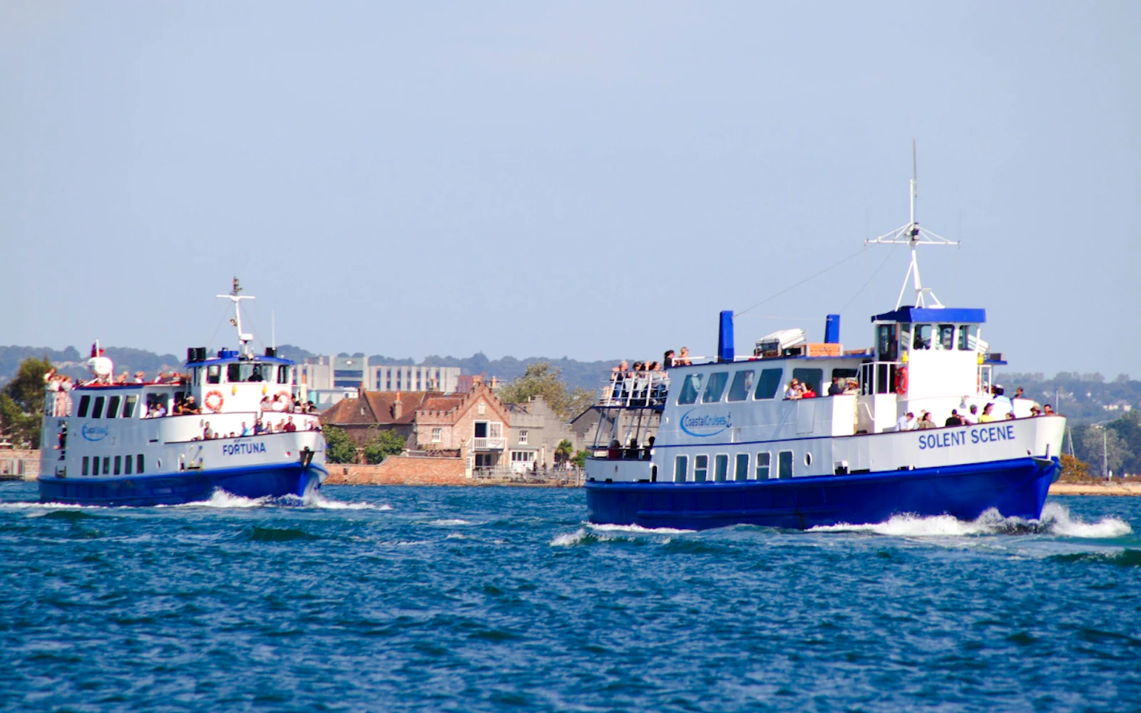 From Poole: Jurassic Coast and Old Harry Rocks Circular Cruise Image 10