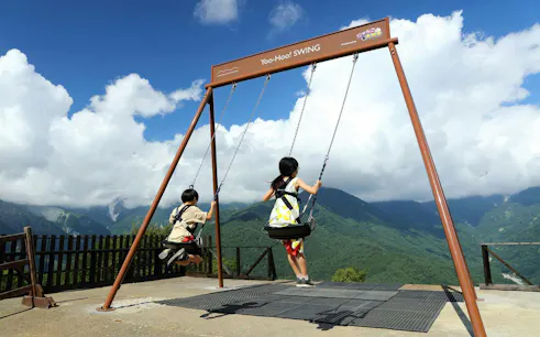 Kids swinging at Hakuba Iwatake Mountain Resort with scenic mountain view.