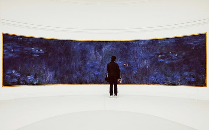 Visitor admiring Monet's Water Lilies at Orangerie Museum, Paris.