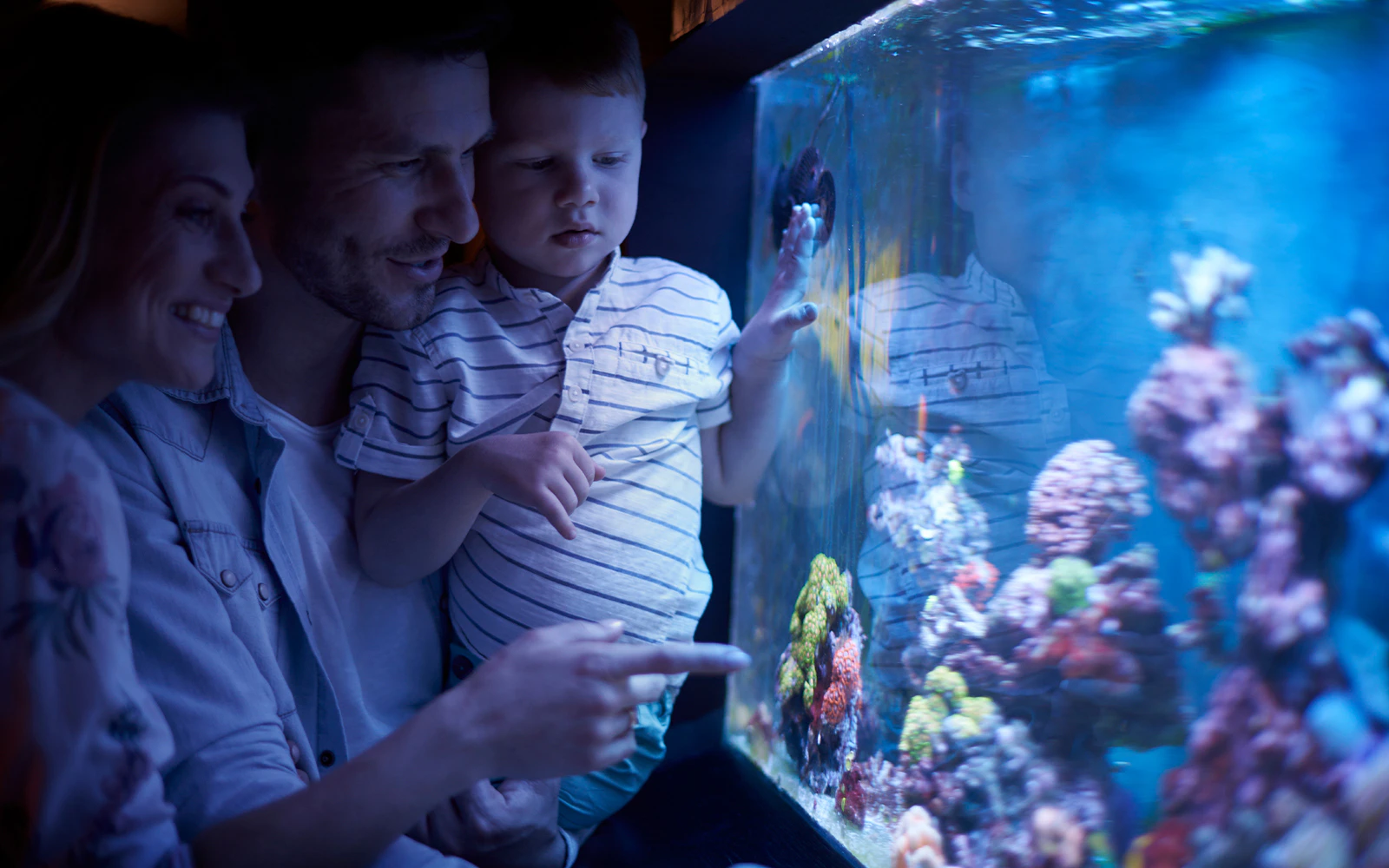 Dramatic aquarium scene at Zoo Zürich