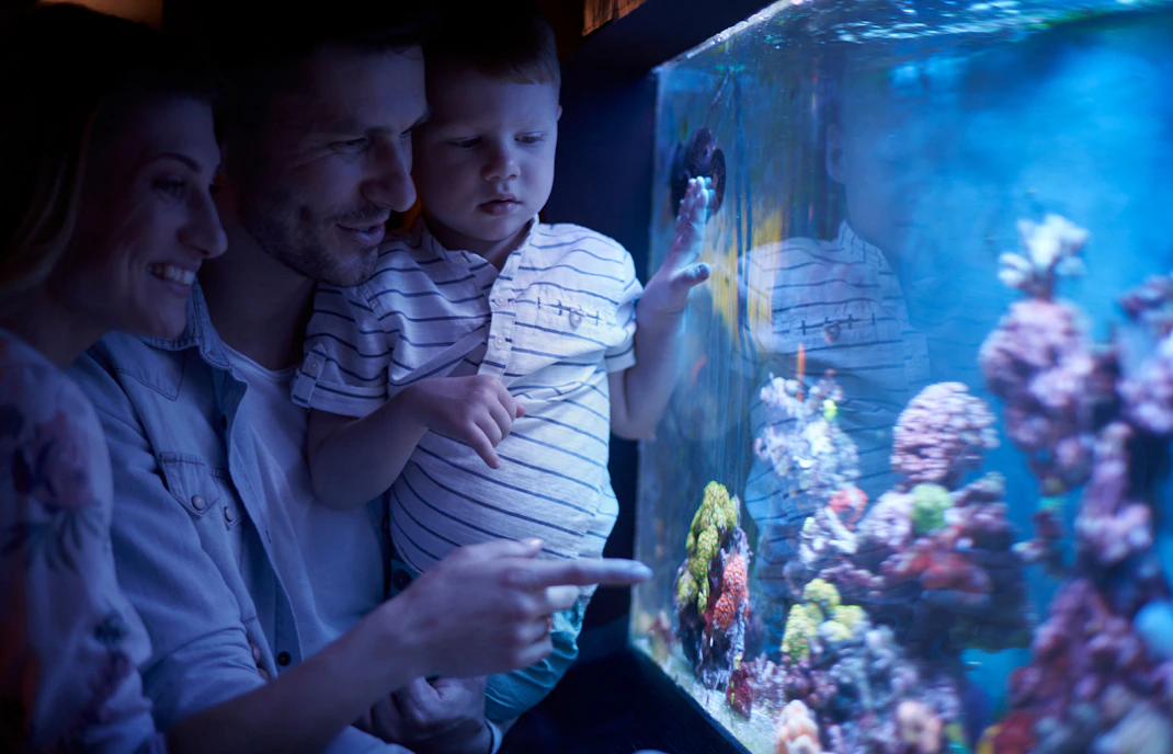 Family observing colorful coral and fish at an aquarium exhibit.
